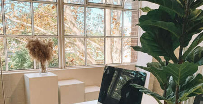 151 Foveaux Street, Surry Hills - Image 3