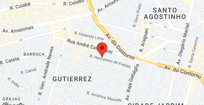 245 Rua Almirante Alexandrino - Gutierrez, Belo Horizonte - Image 5