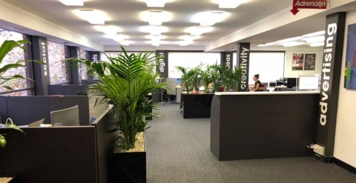 100 Alexander Street, Crows Nest - Image 2