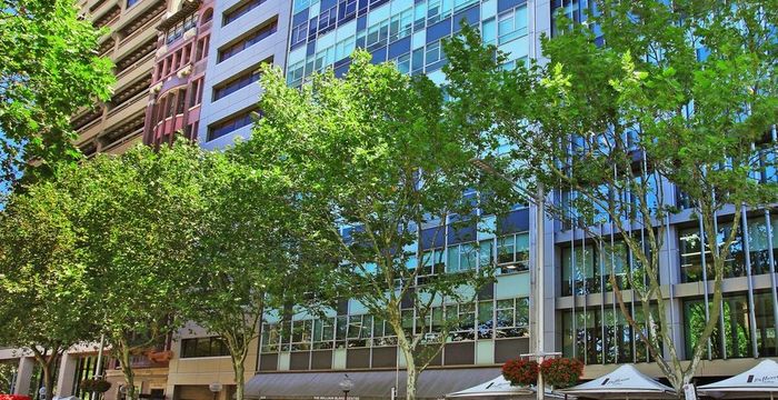 229-231 Macquarie Street, Sydney - Image 3