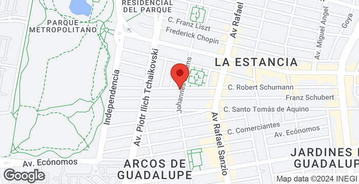 460 Johannes Brahms  La Estancia, Zapopan - Image 5