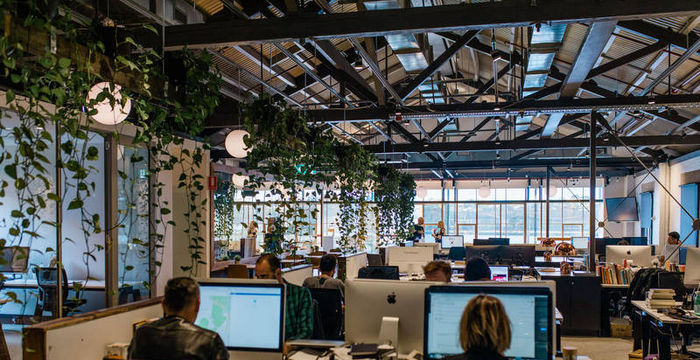 9 Harris Street, Pyrmont - Image 2