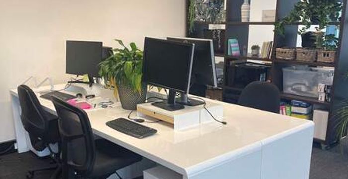 117 Old Pittwater Road 117 Old Pittwater Road, Brookvale - Image 2