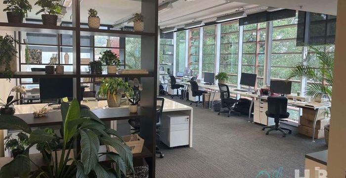 117 Old Pittwater Road, Brookvale - Image 3