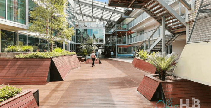 117 Old Pittwater Road, Brookvale - Image 5