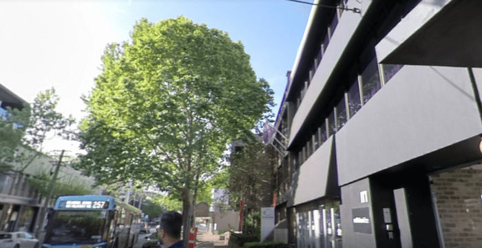 113A Willoughby Road, Crows Nest - Image 5