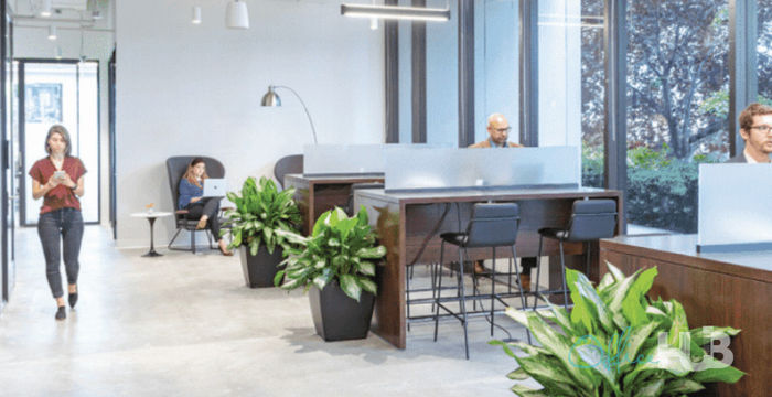 915 Rep John Lewis Way South, Nashville - Image 2