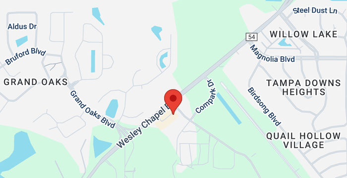 26314 Wesley Chapel Boulevard, Lutz - Image 5