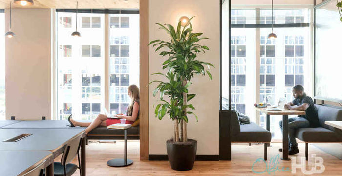 3280 Peachtree Road Ne, Atlanta - Image 3