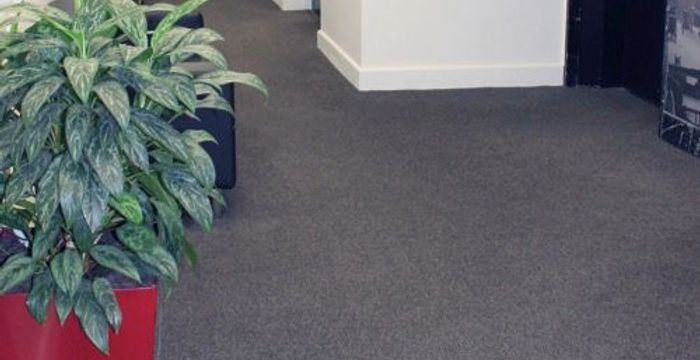 2 Woodward Street, Wellington - Image 5