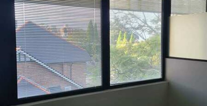 40 Yeo Street, Neutral Bay - Image 5