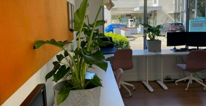 28 Watts Drive, Varsity Lakes - Image 4