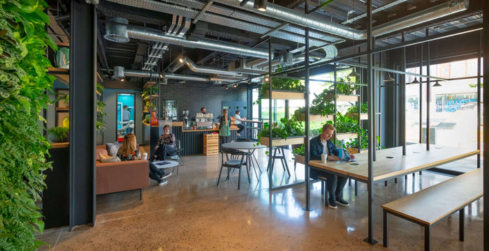 131 Mount Pleasant, Liverpool - Image 4