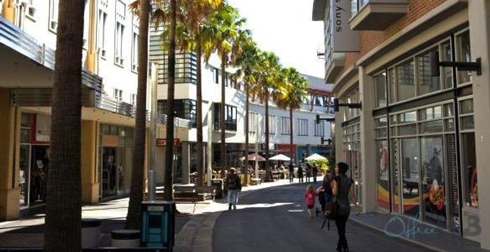 122 Lang Road, Moore Park - Image 2