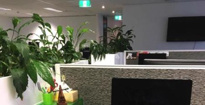 20 Bridge Street, Sydney - Image 5