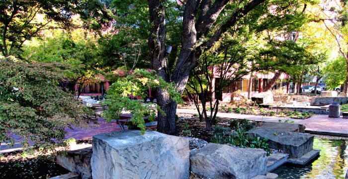 3478 Buskirk Ave, Pleasant Hill - Image 5