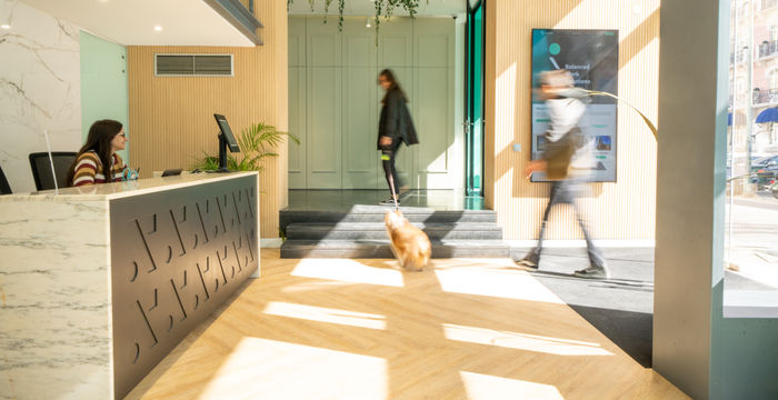 Avenida Duque De Loulé, Lisbon - Image 5