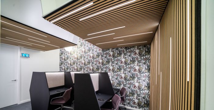 Gutruf House - Image 2