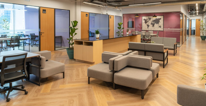 866 Av Insurgentes Sur, Colonia Del Valle - Image 4