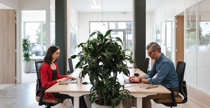 228 Rue Jean Jaurès, Villeneuve-d'ascq - Image 3