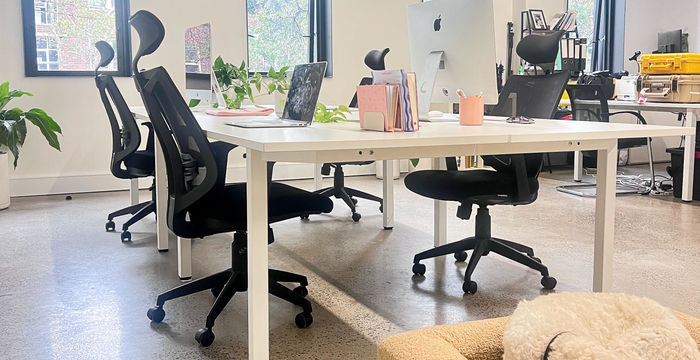 619 Elizabeth Street, Surry Hills - Image 3