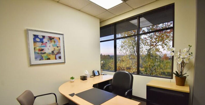 2950 Buskirk Ave, Walnut Creek - Image 3
