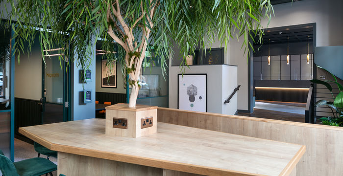 Riley Studios - Image 5