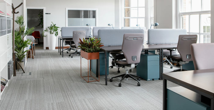 25-27 Fitzwilliam Hall, Dublin - Image 4