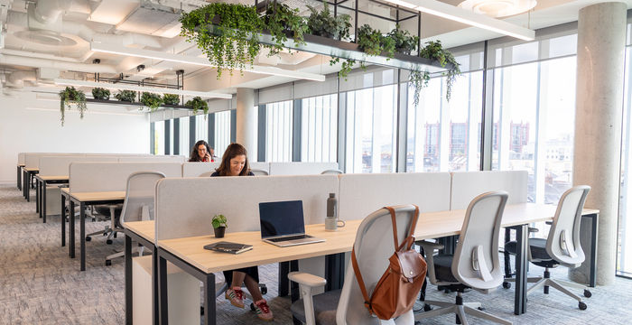 15 Barrow Street, Dublin - Image 2