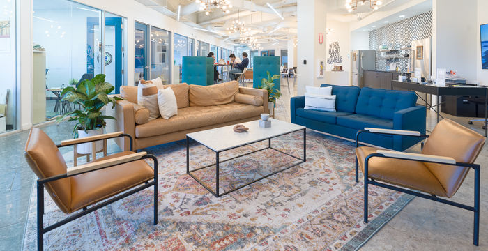 North First - Image 3