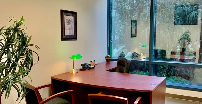 10150 Highland Manor Drive, Tampa - Image 4