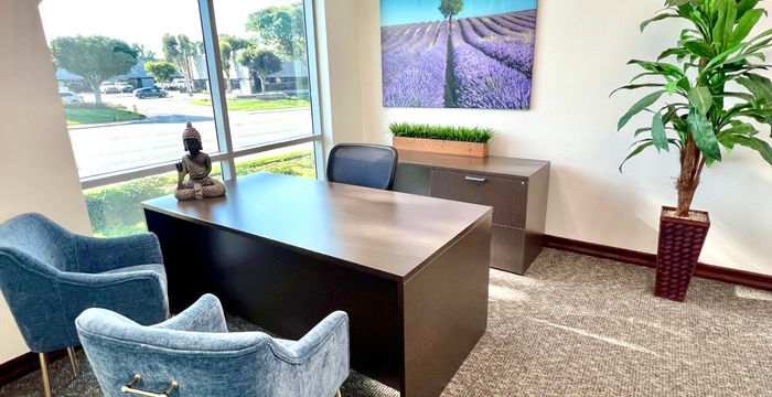 2244 Faraday Avenue, Carlsbad - Image 3