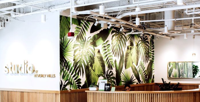 407 N Maple Dr, Beverly Hills - Image 5