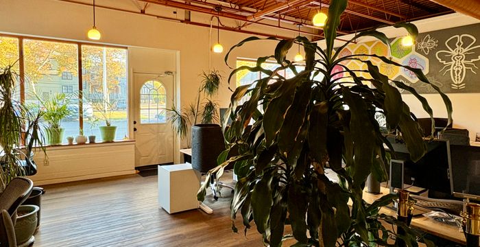 6 Eliza Street, Beacon - Image 3