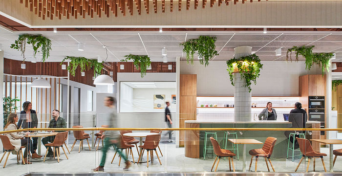 793 Burke Road, Camberwell - Image 3