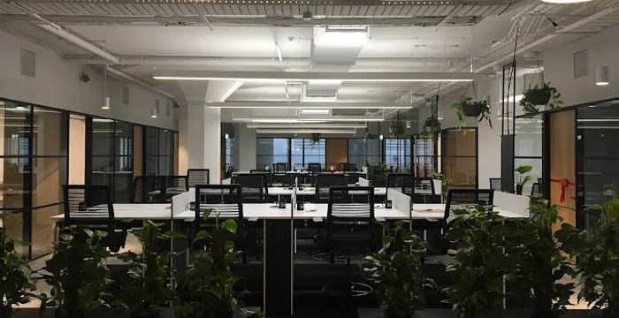 223 Liverpool Street, Darlinghurst - Image 2