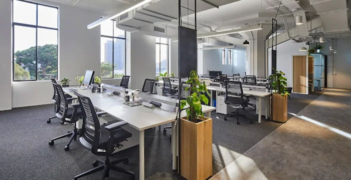 223 Liverpool Street, Darlinghurst - Image 4