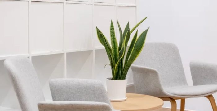 Pyramid Plaza - Image 4