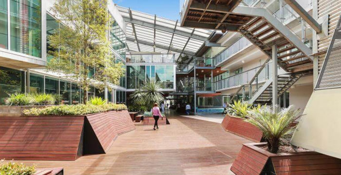 117 Old Pittwater Road, Brookvale - Image 5