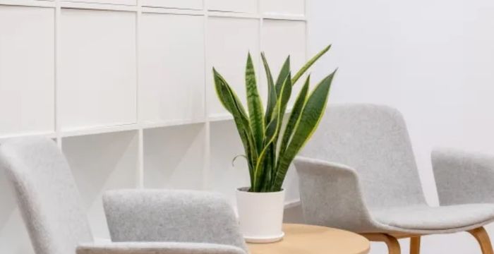 1 Church Street, St Julian's - Image 5