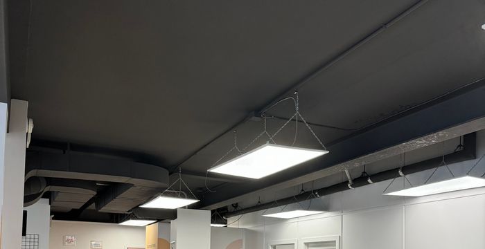 196 Osborne Street, Winnipeg - Image 4