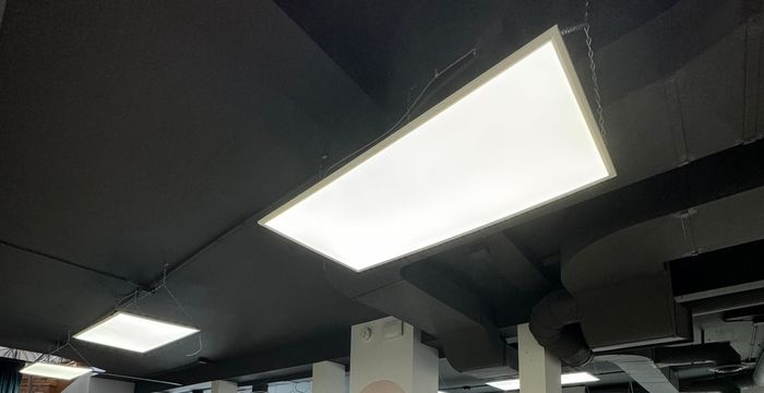 196 Osborne Street, Winnipeg - Image 3