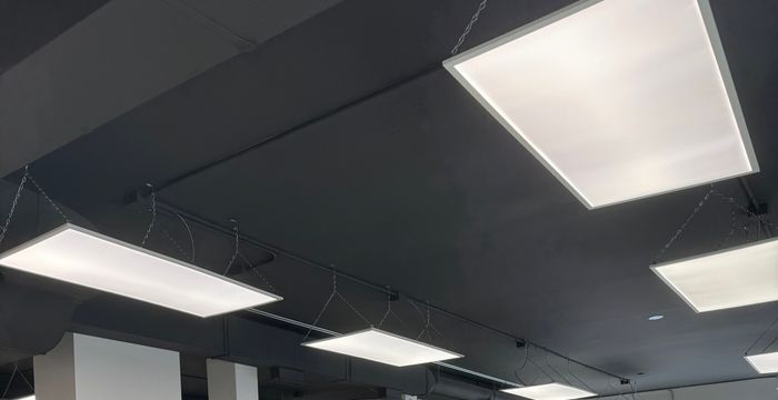 196 Osborne Street, Winnipeg - Image 5