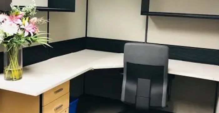 100 Consilium Pl, Scarborough - Image 2