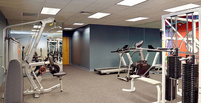 67 Forest Street, Marlborough - Image 5