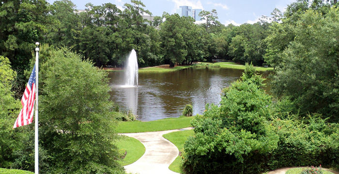 10210 Grogans Mill Road, Woodlands - Image 3