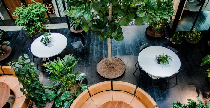 100 Fred Roeskestraat, Amsterdam - Image 4