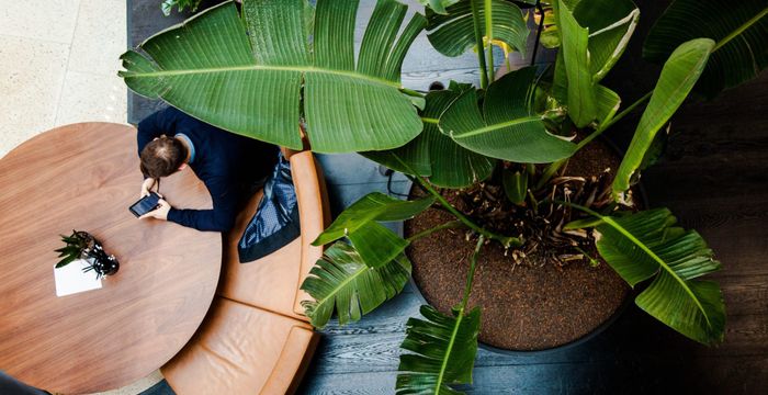 100 Fred Roeskestraat, Amsterdam - Image 2