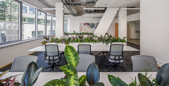 1705/9 Lomnického, Nusle - Image 5