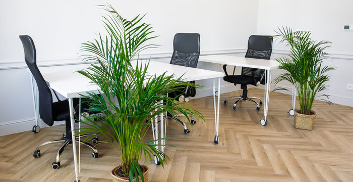 26 Aleja Grunwaldzka, Gdańsk - Image 3